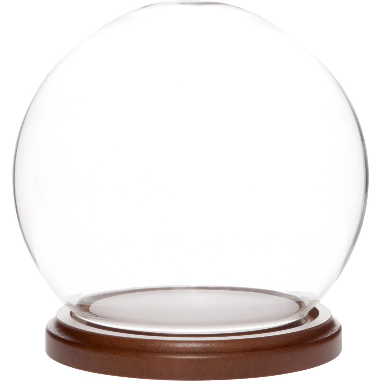 Plymor 5 inch x 6 inch Glass Display Dome Globe Cloche (Dark Wood Base)